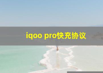 iqoo pro快充协议